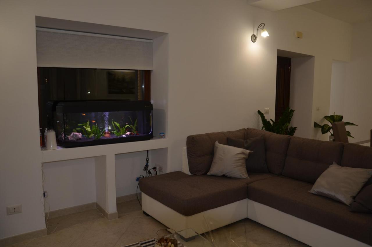 Morolo La Tana Delle Lepri Bed & Breakfast エクステリア 写真