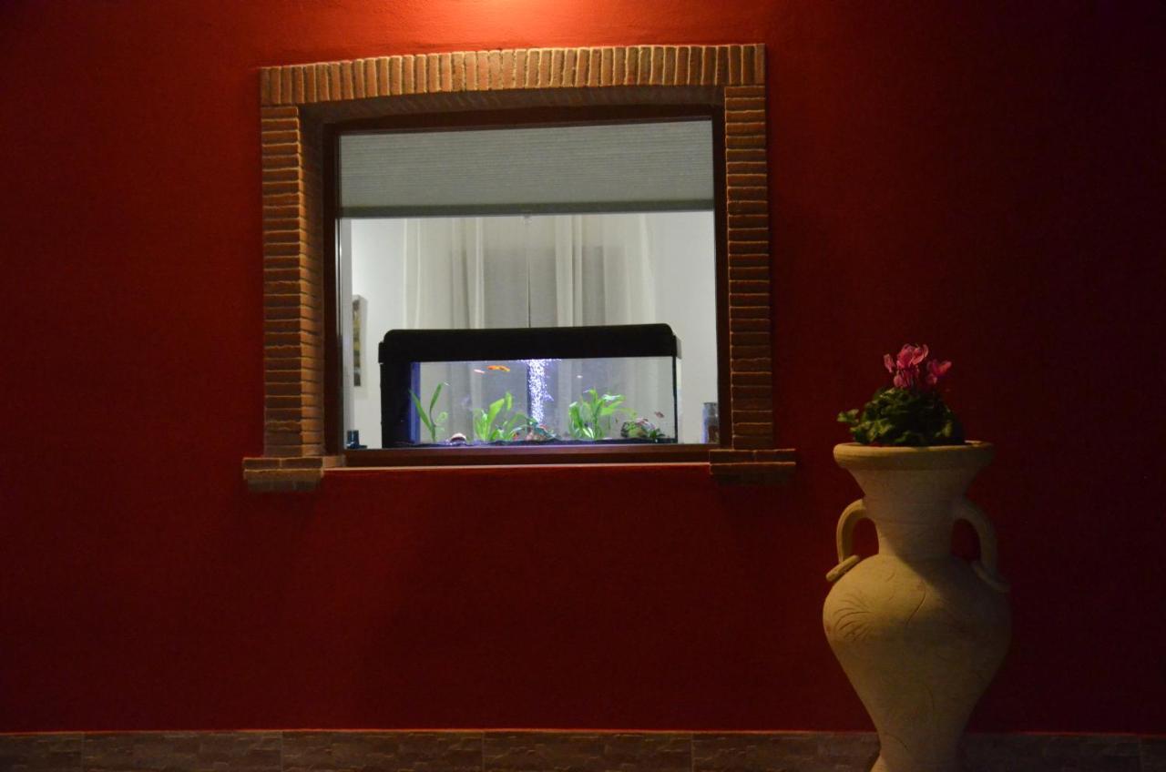Morolo La Tana Delle Lepri Bed & Breakfast エクステリア 写真