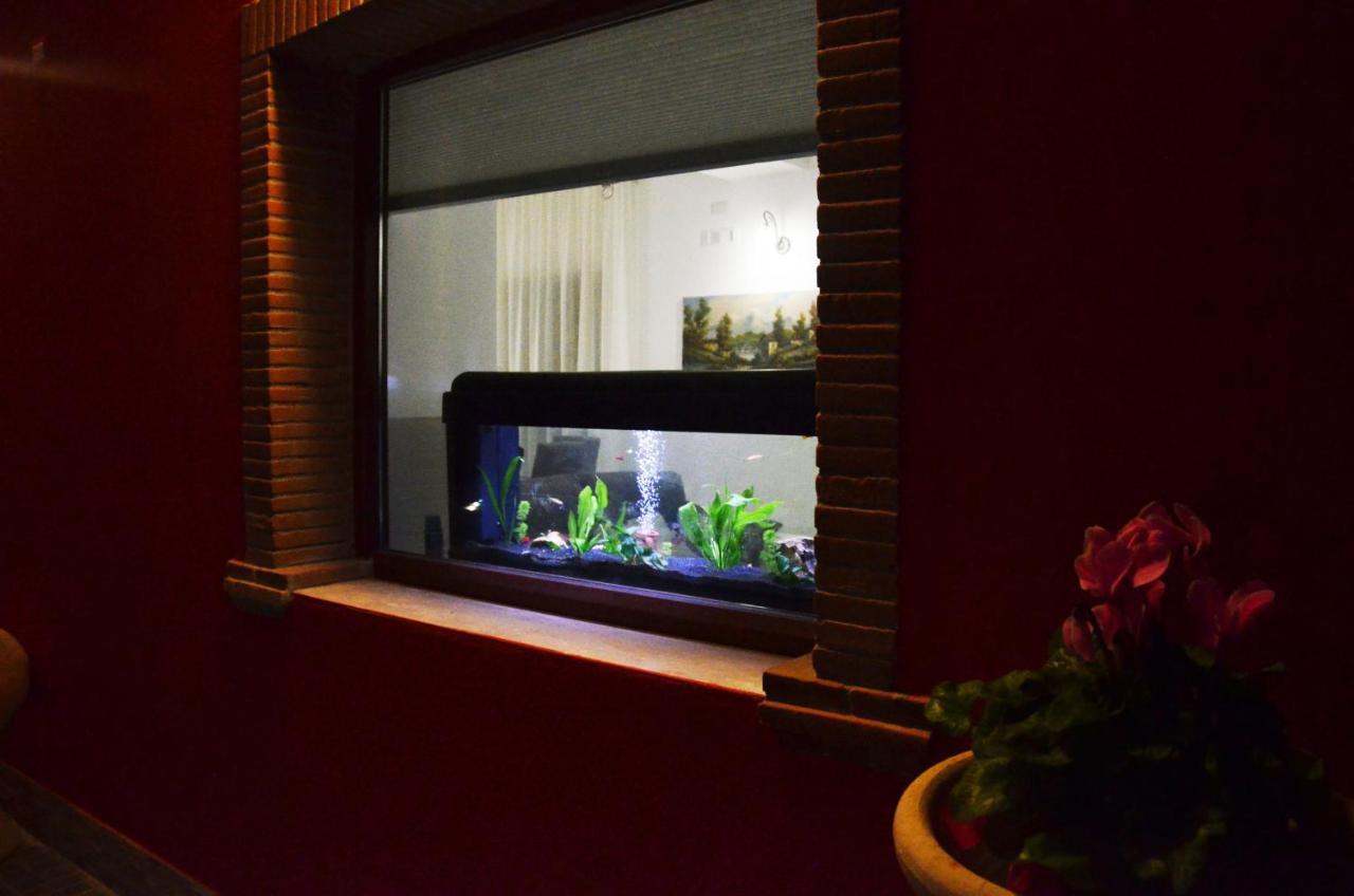Morolo La Tana Delle Lepri Bed & Breakfast エクステリア 写真